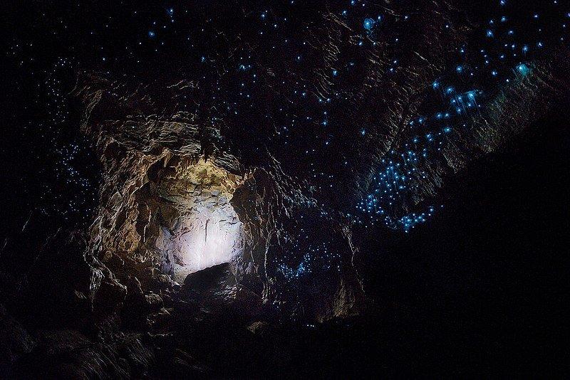 Gua Waitomo Glowworm, satu tempat wisata di dunia yang serasa berada di planet lain.