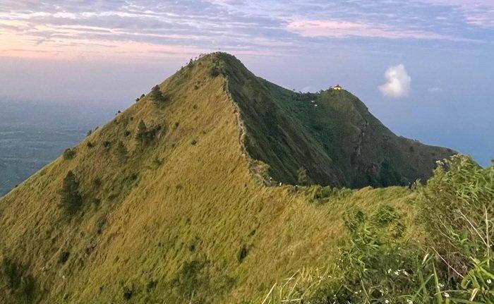 PENDAKIAN GUNUNG ANDONG - Pemandangan menawan yang tersaji di jalur pendakian Gunung Andong via Pendem, Senin (12/5/2025).