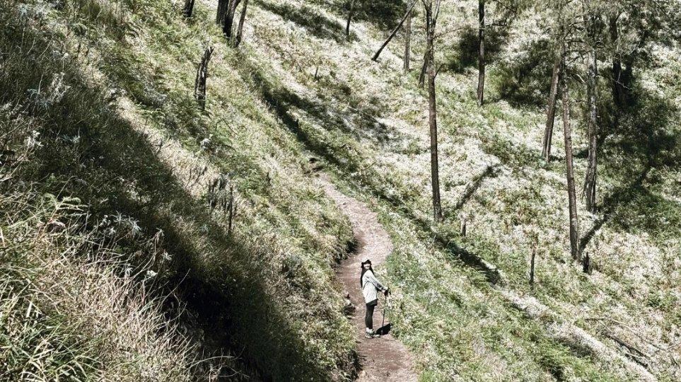 Gunung Butak via Panderman.