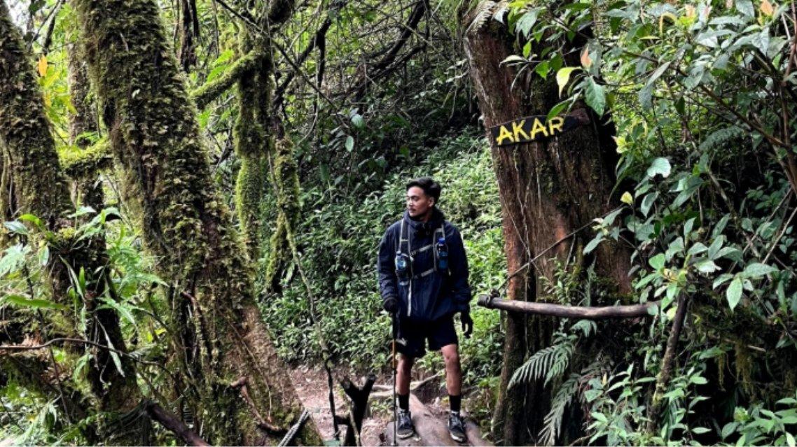 Jalur pendakian Gunung Kembang berupa vegetasi rapat.