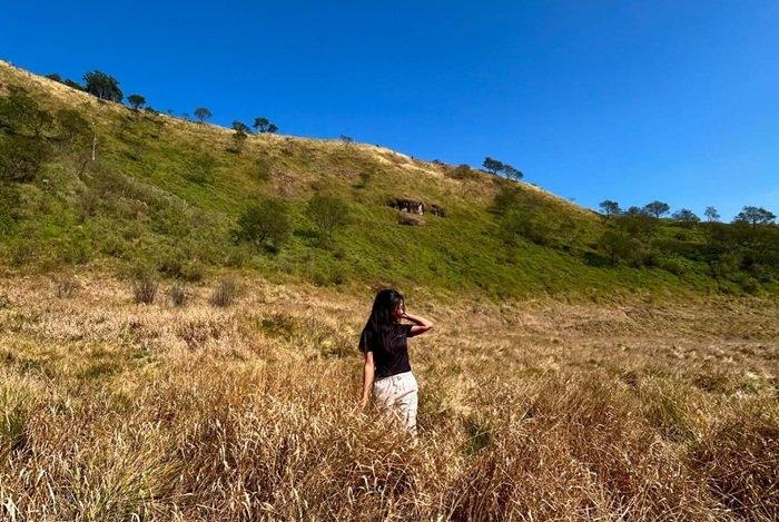 PENDAKIAN GUNUNG KEMBANG - Pemandangan yang terlihat di Gunung Kembang (2.340 mdpl), Wonosobo, Jawa Tengah, Minggu (29/6/2025). Traveler yang ingin mendaki Gunung Kembang, cek itinerary dengan bujet Rp 260 ribuan berikut.