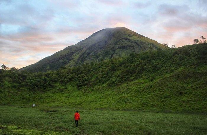 PENDAKIAN GUNUNG KEMBANG - Pemandangan yang terlihat di Gunung Kembang (2.340 mdpl), Wonosobo, Jawa Tengah, Rabu (25/6/2025). Traveler yang ingin mendaki Gunung Kembang, cek itinerary dengan bujet Rp 260 ribuan berikut.