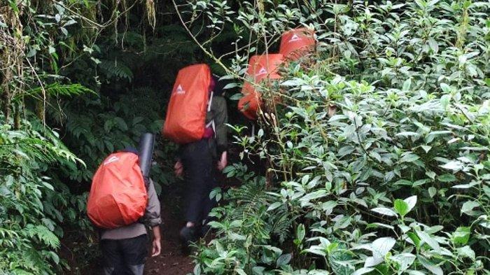 PENDAKIAN GUNUNG KEMBANG - Para pendaki menembus kelebatan belantara Gunung Kembang di Wonosobo, Jawa Tengah, Jumat (20/6/2025).