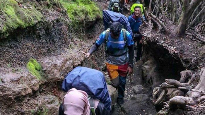 Jalur pendakian Gunung Kerinci via Kersik Tuo.
