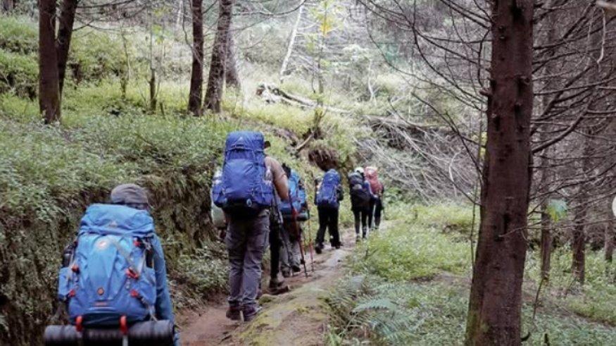 Jalur pendakian Gunung Prau via Kalilembu.