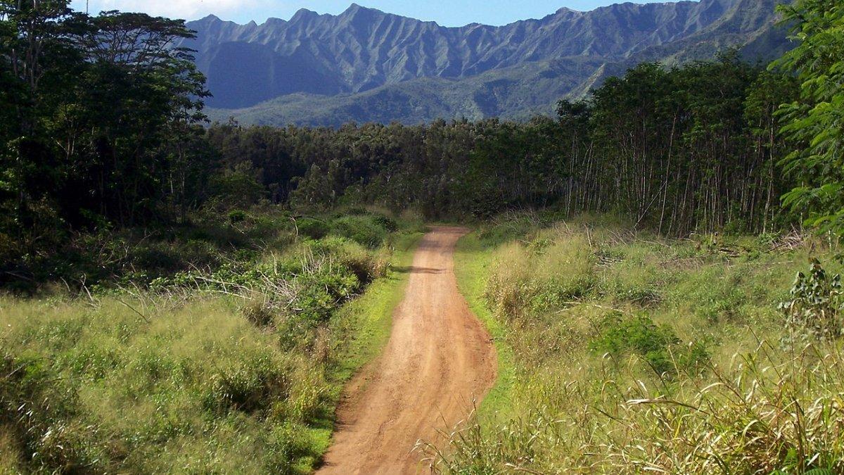 Gunung Waialeale, kota dengan curah hujan tertinggi di dunia yang wajib kamu kunjungi untuk mencari pengalaman unik.