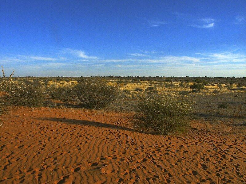 Gurun Kalahari (juga dieja Kgalagadi) adalah wilayah gersang di Botswana dan Namibia.