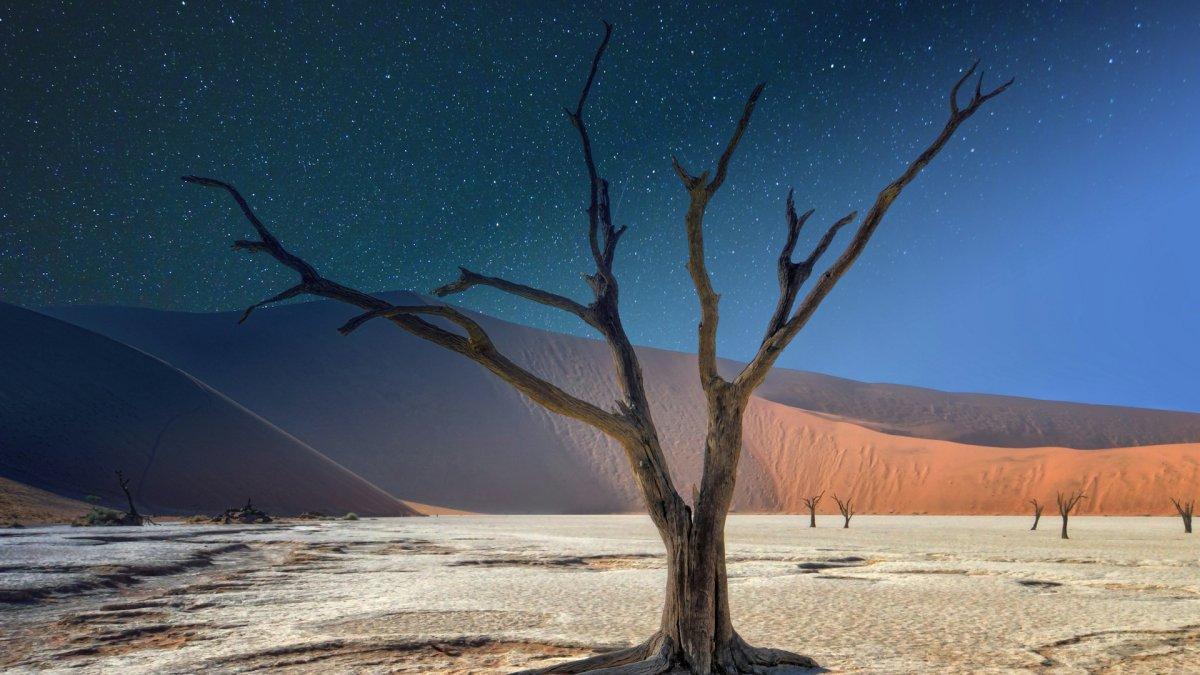 Gurun Namib, satu tempat paling gelap di Bumi di mana kamu dapat menikmati pemandangan bintang.