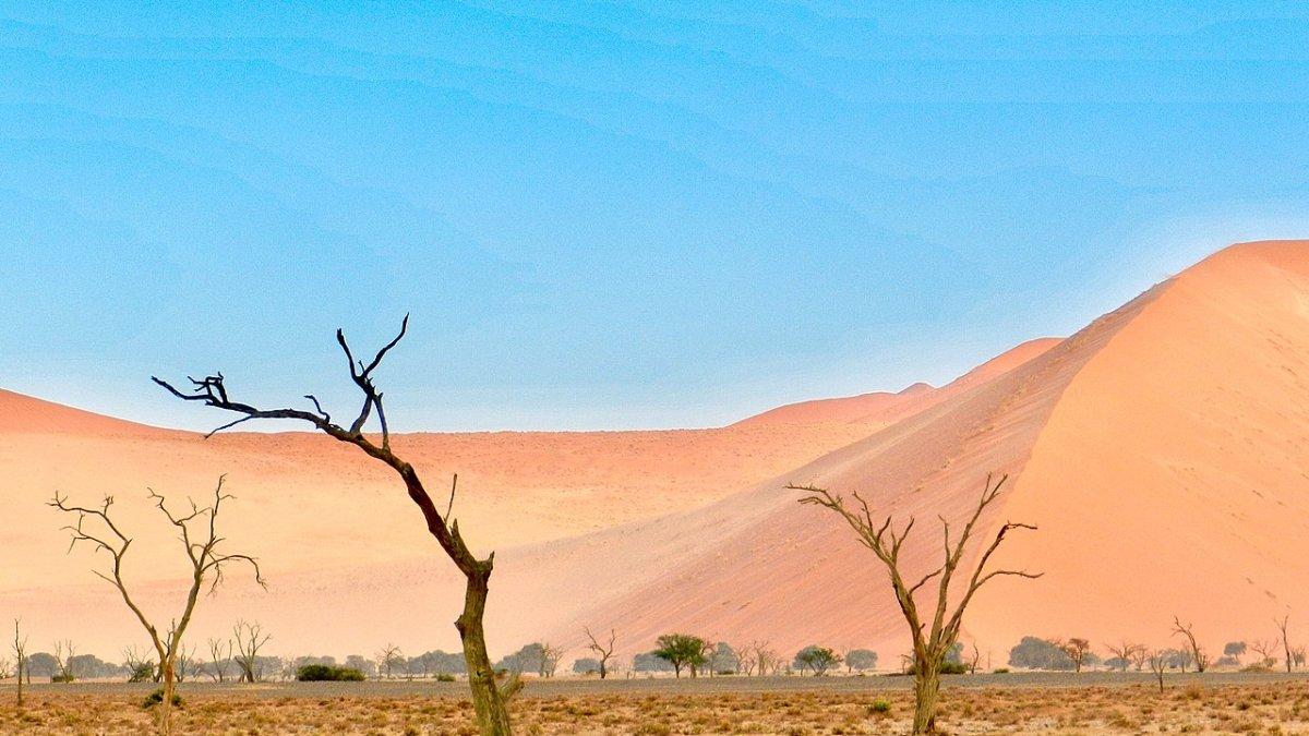 Gurun Namib, satu tempat paling tidak bisa dihuni manusia di Bumi yang harus kamu ketahui.