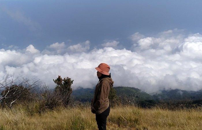 PENDAKIAN GUNUNG LAWU - Panorama menawan yang terlihat dari jalur pendakian Gunung Lawu, Jumat (28/2/2025). Traveler yang ingin mendaki Gunung Lawu, bisa menyimak itinerary 2 hari 1 malam dengan bujet Rp 220 ribuan per orang yang telah dirangkum TribunTravel berikut.