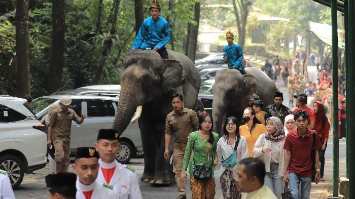 Menyambut Hari Ulang Tahun ke-80 Republik Indonesia, Taman Safari Bogor menghadirkan program spesial bertajuk The Forest Carnival yaitu parade satwa yang akan berlangsung pada tanggal 16–17 Agustus 2025.