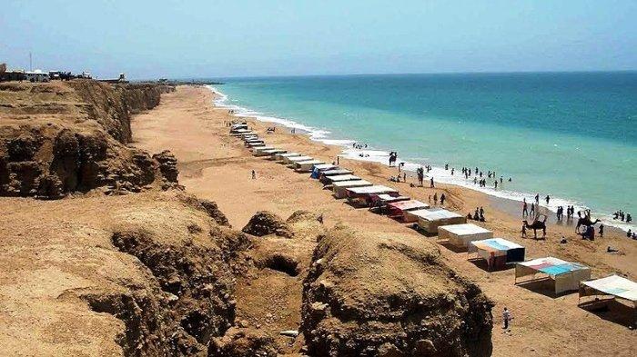 Hawke's Bay atau Teluk Hawke, Selandia Baru