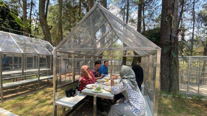 Tempat makan terbuka dengan latar hutan pinus di HeHa Waterfall Bogor.