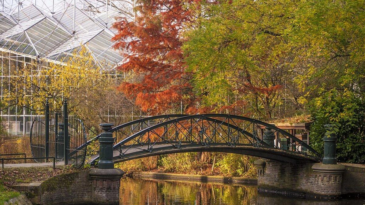 Hortus Botanicus Amsterdam, satu tempat wisata di Amsterdam, Belanda.