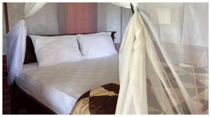 Hotel murah di Tabanan Bali buat liburan akhir tahun, Cabin D Bendul and Warung
