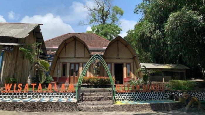 Hutan Bambu Lumajang, tempat wisata hits dan populer di Jawa Timur yang cocok untuk healing saat liburan akhir pekan.