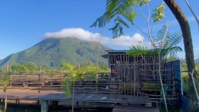 Hutan Desa Magelang menawarkan spot foto instagramable dan pemandangan kebun serta pegunungan.