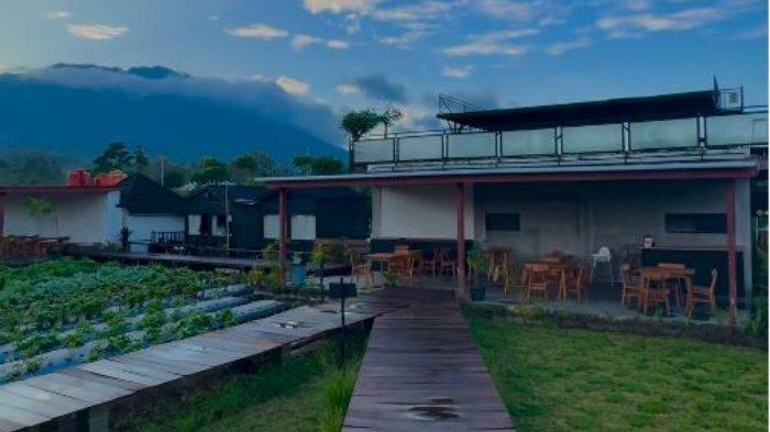 Hutan Desa Magelang menawarkan spot foto instagramable, pemandangan kebun serta pegunungan, dan kafe/restoran yang cozy.