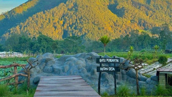 Hutan Desa Magelang menawarkan spot foto instagramable, pemandangan kebun serta pegunungan, dan kafe/restoran yang cozy.
