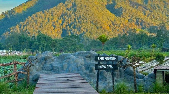 Harga Tiket Masuk Hutan Desa Magelang, Tempat Healing Baru di Tengah Kebun dan Gunung