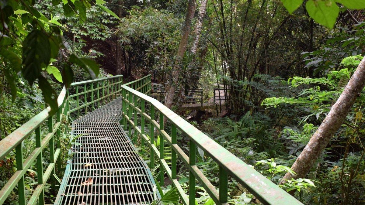Hutan Kota Bungkirit di Kuningan, Jawa Barat.