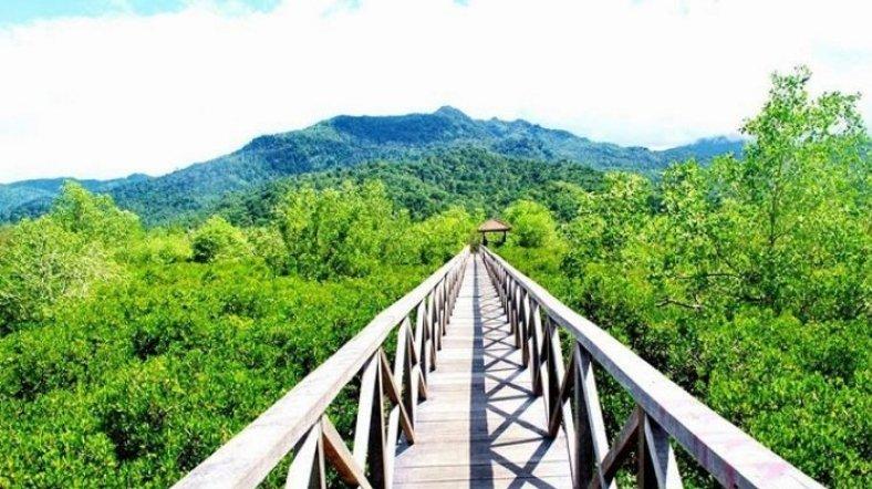 Hutan Mangrove Cengkrong.