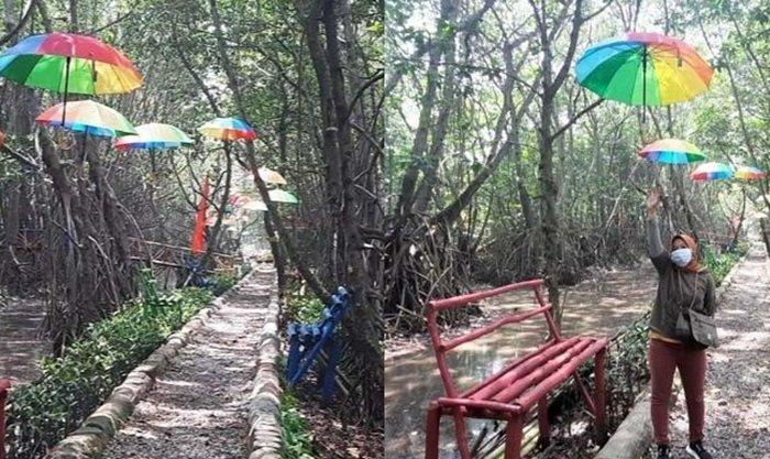 Hutan Mangrove Cikiong di Desa Sedari, Cibuaya, Karawang, tempat menarik untuk dijadikan destinasi liburan singkat masyarakat Jabodetabek.