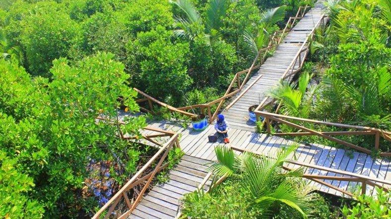 Hutan Mangrove Kampung Laut.