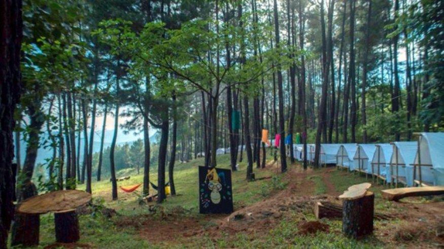 Hutan Pinus Bissoloro.