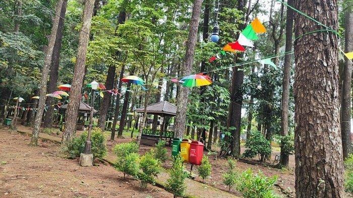 WISATA BANJARBARU - Suasana dalam Hutan Pinus Mentaos di Kota Banjarbaru, Selasa (1/4/2025).