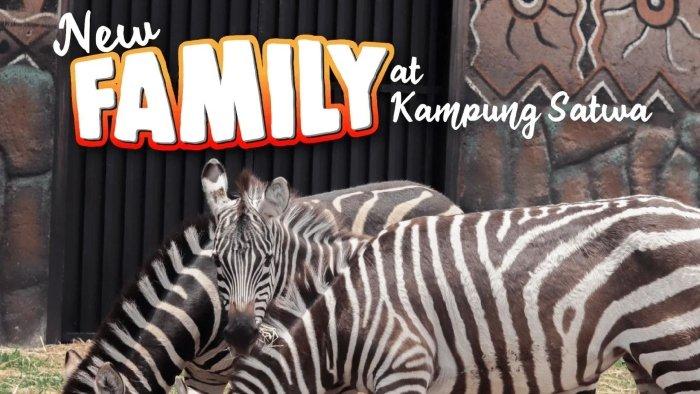 Ilustrasi Lembang Park and Zoo, Bandung, Jawa Barat.