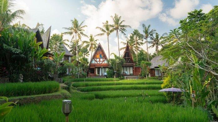 Ilustrasi Menzel Ubud Cocok Untuk Bulan Madu