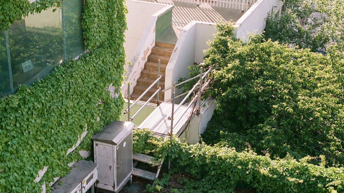 Ilustrasi Rooftop Garden