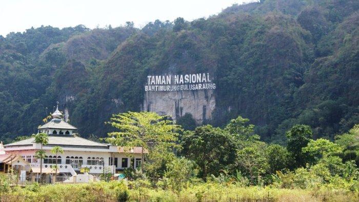 Ilustrasi Taman Nasional Bantimurung.