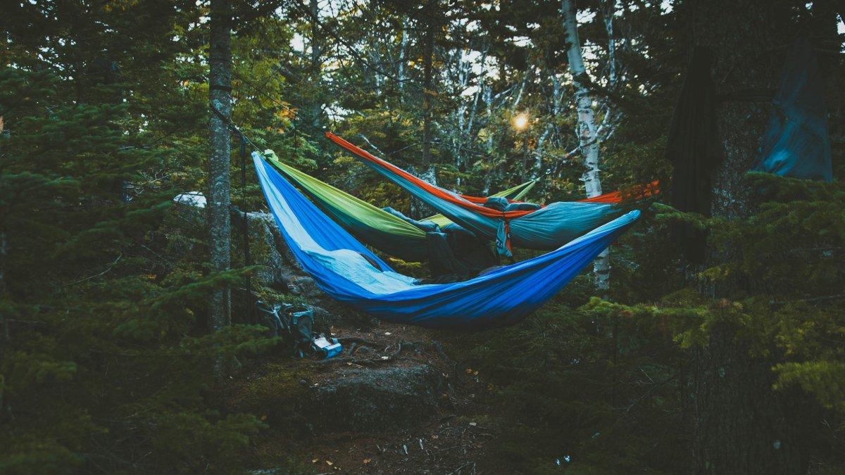 Ilustrasi bersantai di hammock