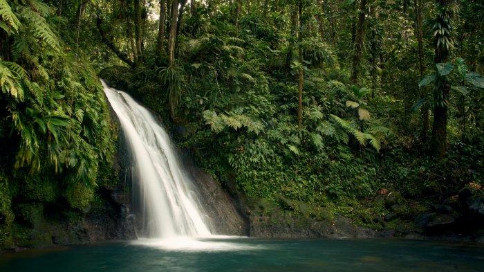 Ilustrasi dari Air Terjun.