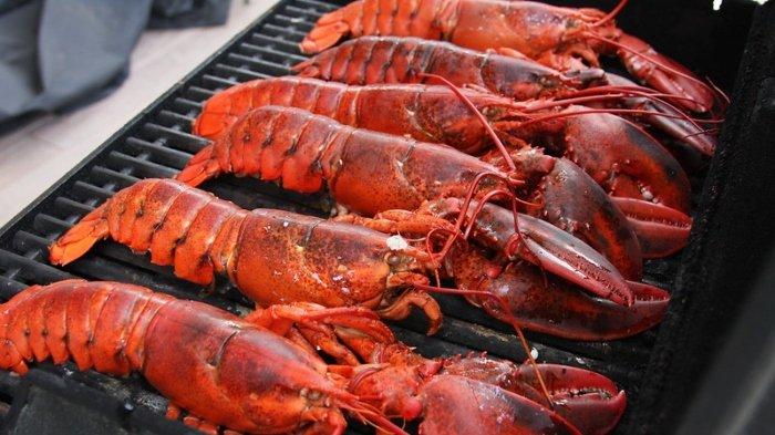 Ilustrasi lobster bakar yang wajib dicoba para pencinta seafood.
