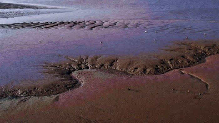 Ilustrasi pasir hisap. Menguak fakta pasir hisap, benarkah berbahaya sama seperti di dalam film yang bisa menenggelamkan seseorang?