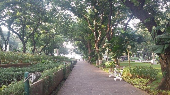Ilustrasi pemandangan alam di Taman Suropati Jakarta.
