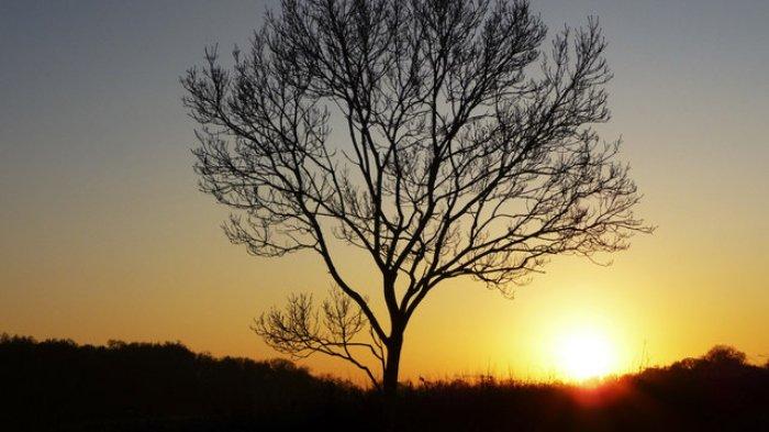 Ilustrasi pesona matahari terbenam atau sunset di atas bukit.