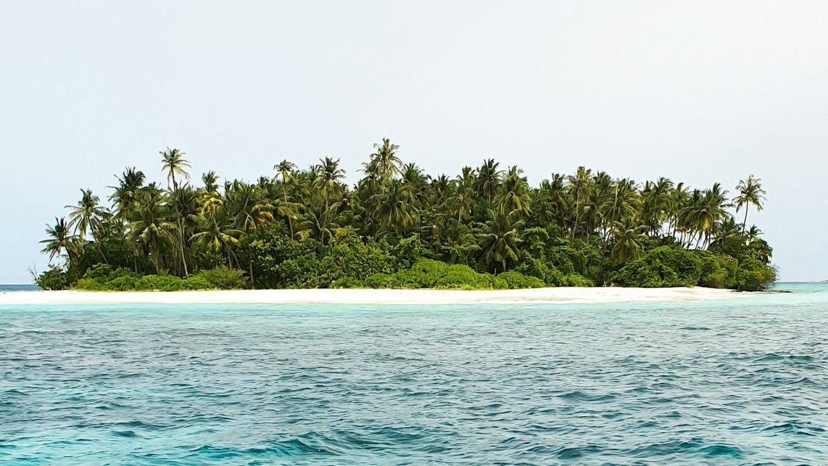 Ilustrasi pulau misterius