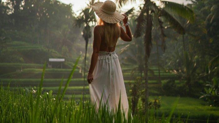 Ilustrasi sawah - wisatawan wanita jalan-jalan ke sawah untuk healing.