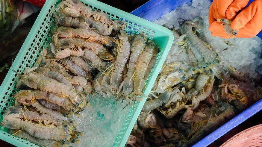 Ilustrasi seafood segar untuk kulineran di pinggir pantai.