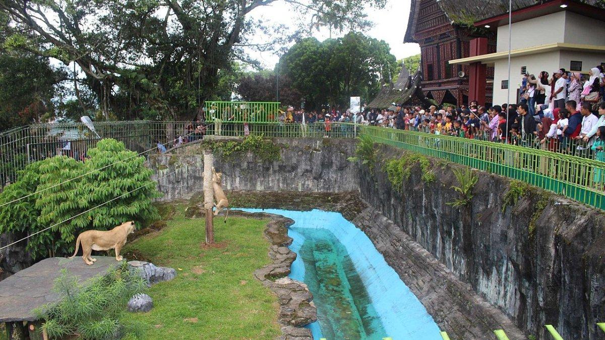 Ilustrasi tempat wisata di Kinantan Bird Park Bukittinggi