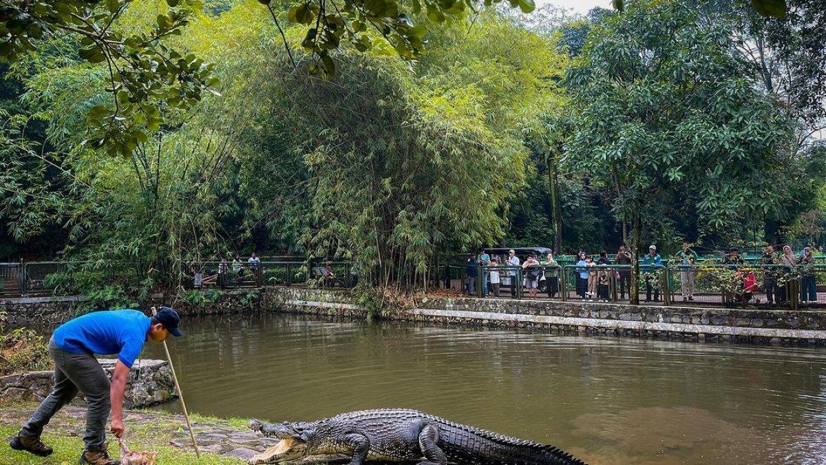 Ilustrasi tempat wisata di Taman Margasatwa Ragungan