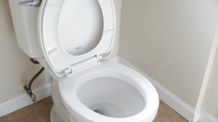 Ilustrasi toilet toilet pintar. Baru-baru ini, seorang pria dari China merekam toilet pintarnya terbakar setelah diduga terjadi korsleting.