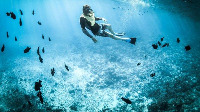 Ilustrasi wisatawan snorkeling bersama ikan-ikan.