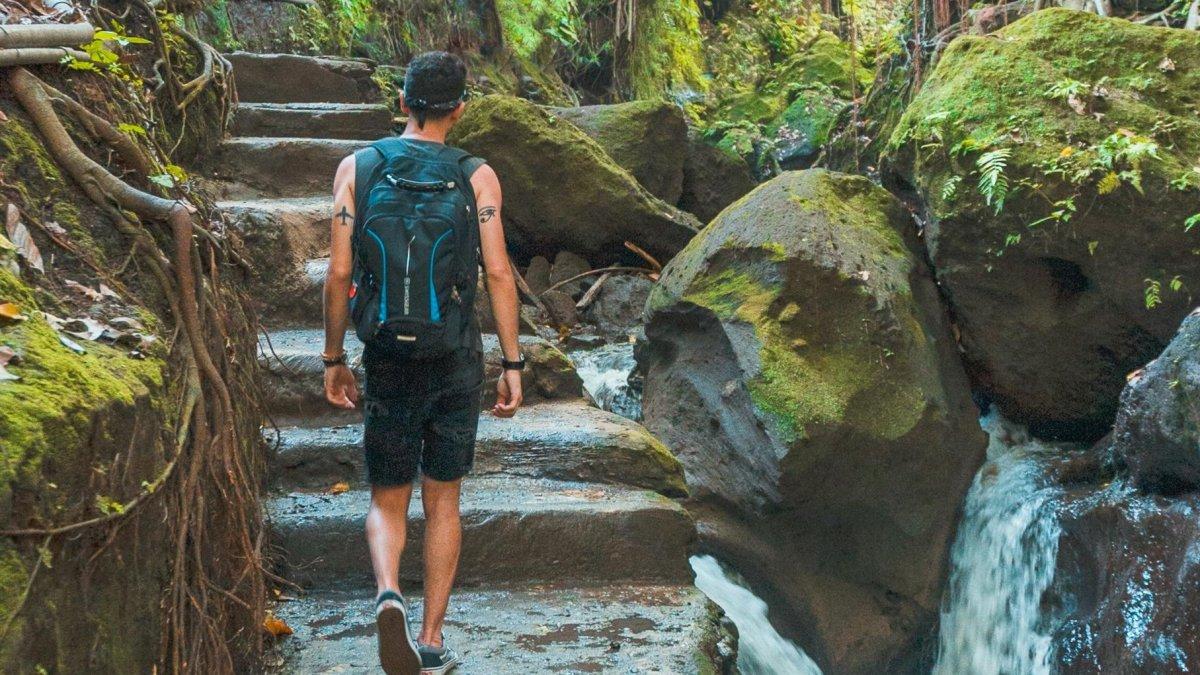 Ilustrasi wisatawan yang menuju air terjun di Bali