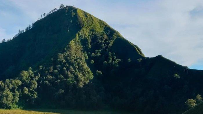 Indahnya bukit Savana Propok di Lombok, Nusa Tenggara Barat (NTB).