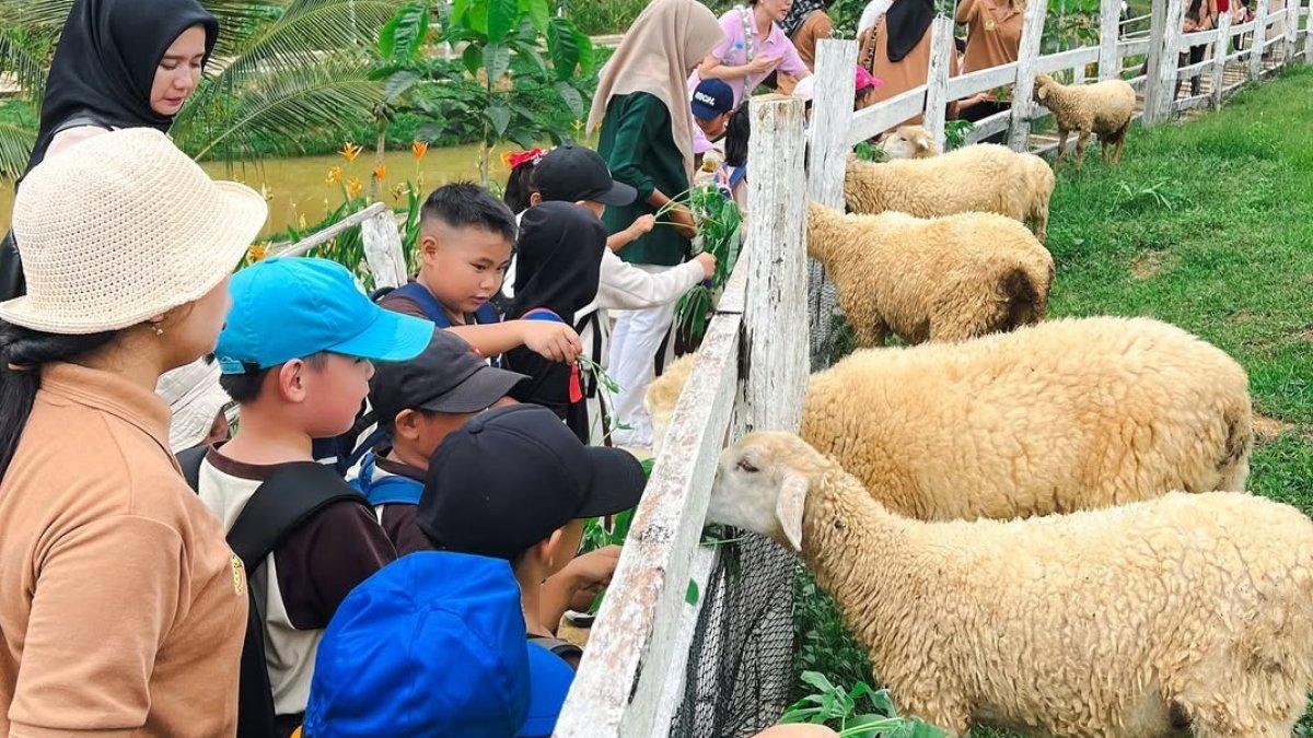 Inhu Park, satu tempat wisata terbaik di Indragiri Hulu Riau yang bisa jadi pilihan saat akhir pekan tiba.